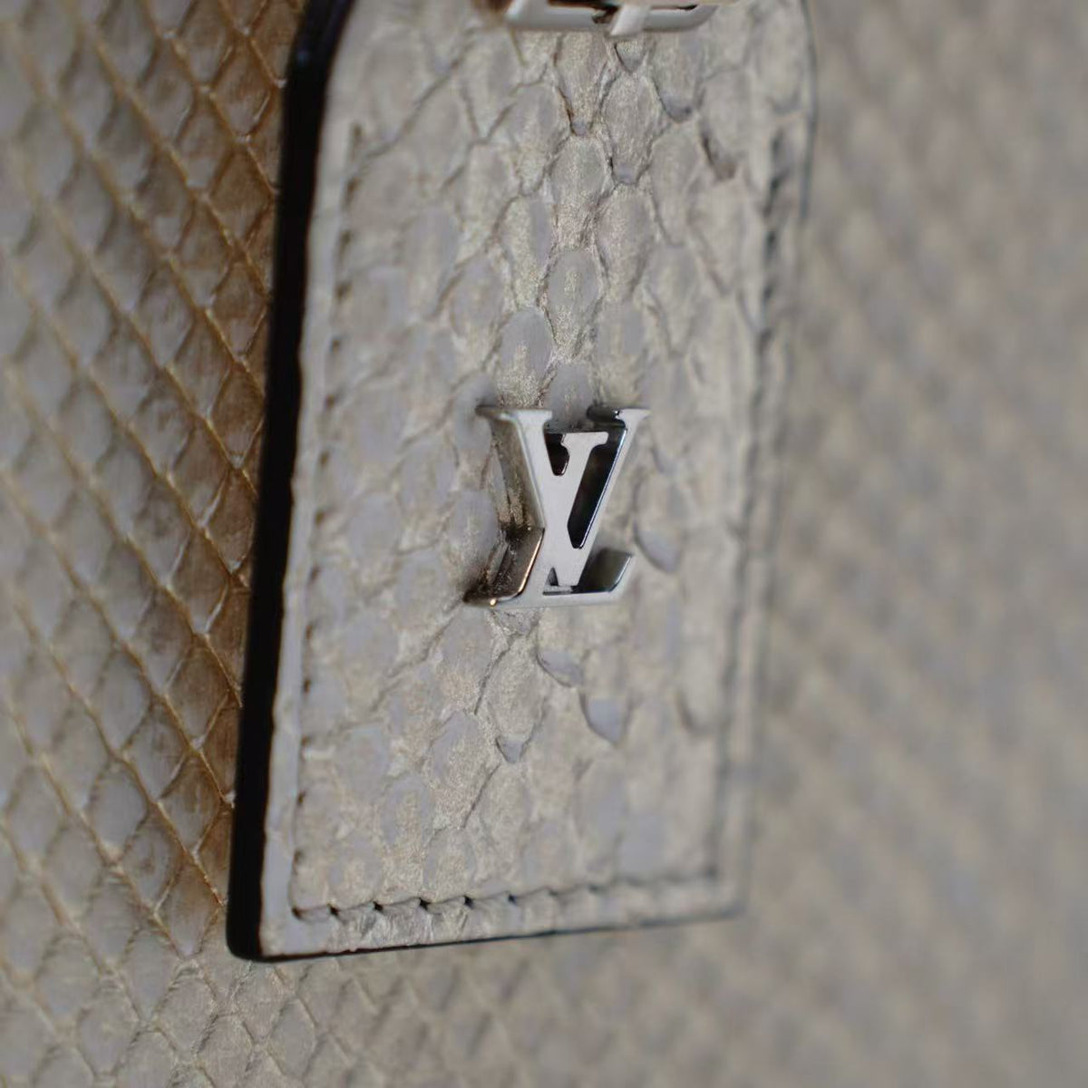 Louis Vuitton Petite Boite Chapeau Python Handbag