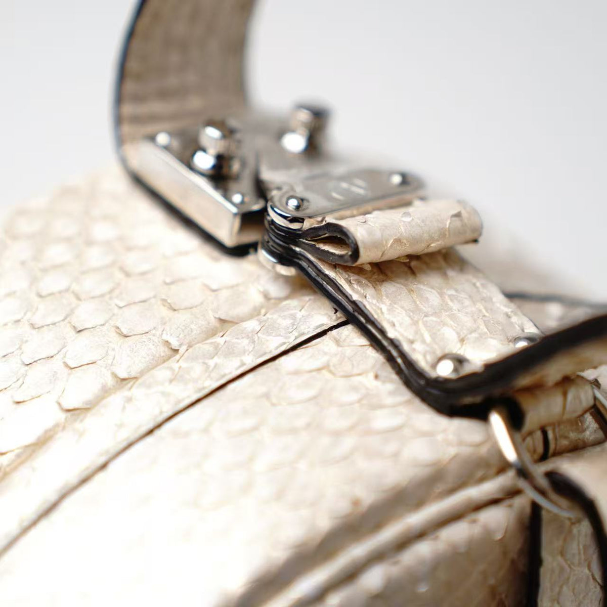 Louis Vuitton Petite Boite Chapeau Python Handbag